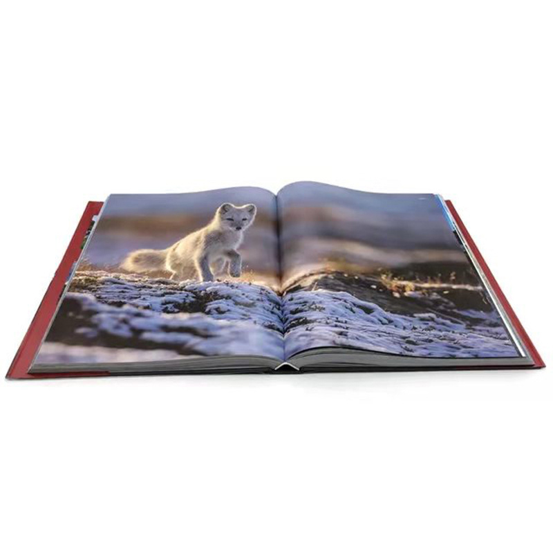Custom Design A5 Size Color English Books Printing Hardcover Book Printing Services