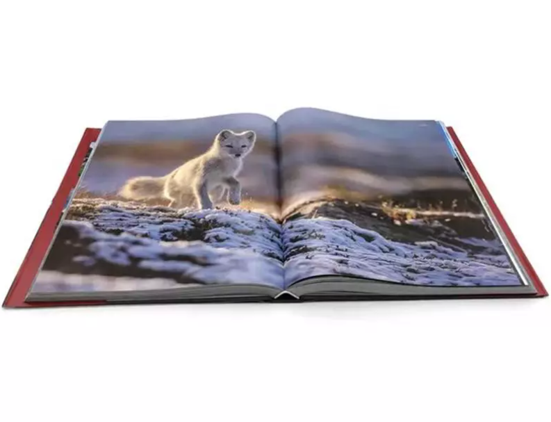 Custom Design A5 Size Color English Books Printing Hardcover Book Printing Services